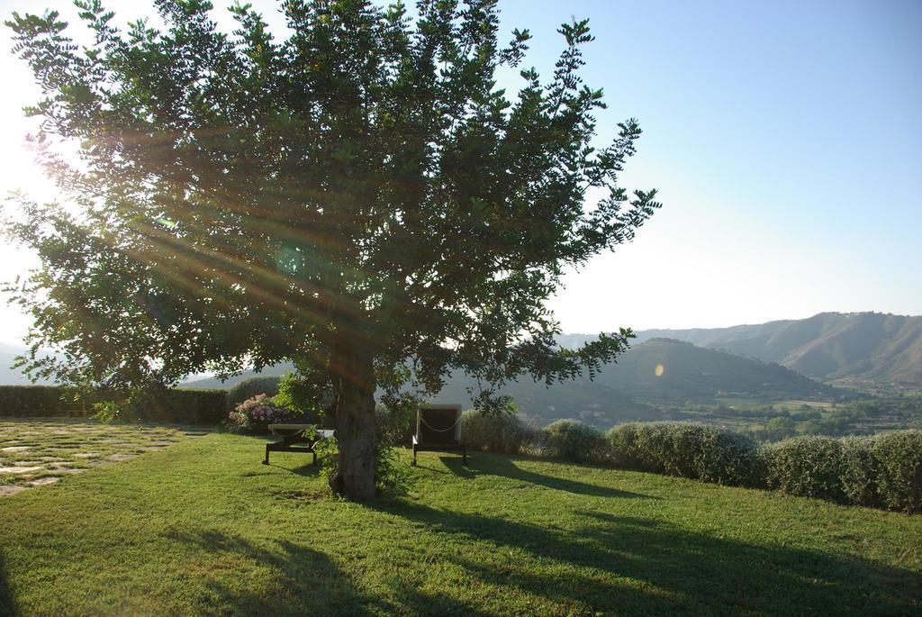 Sulle Onde Della Collina Villa มอนเตกอริเช ภายนอก รูปภาพ